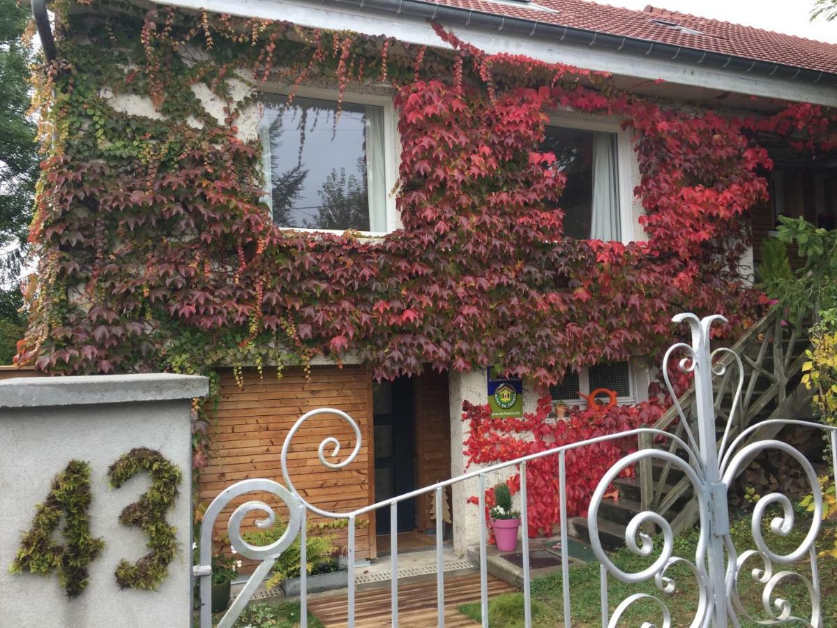 Villa La Sapiniere De Vittel Exterior foto